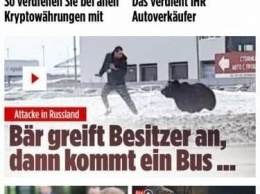 Нижневартовская медведица попала на первую полосу немецкого таблоида