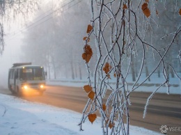 Водитель пытался выгнать из маршрутки школьницу в Кемерове