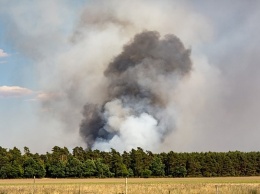 92 млн рублей получит Алтайский край на закупку лесопожарной техники