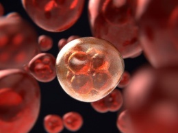 Онколог из РФ озвучил первые признаки рака крови у детей