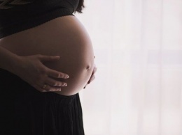Комитеты Госдумы РФ поддержали запрет на услуги суррогатного материнства для иностранцев