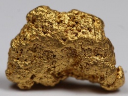 В шотландской реке найден рекордный золотой самородок