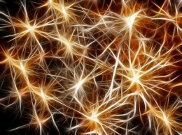 Британские ученые создали искусственные нервные клетки