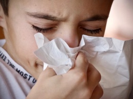 Медики развеяли распространенные мифы о простуде