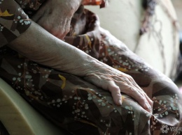 Московский СК начал проверку информации о жестоком обращении домочадца с пожилой труженицей тыла