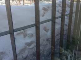 Скинутый с крыши снег забаррикадировал окно жителю Кузбасса