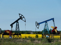 В Роснедрах назвали срок, на который России хватит запасов Роснефти