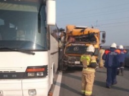 Полиция возбудила дело после гибели водителя автобуса на Приморском кольце