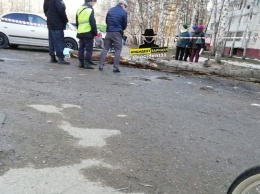 Человека убило упавшим деревом в Барнауле