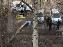 В Барнауле следком разбирается в обстоятельствах гибели мужчины после падения на него дерева