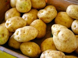 Российские дачники могут получить штраф за продажу "неправильной" картошки