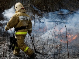 Под Черняховском пожарные поймали поджигателя травы