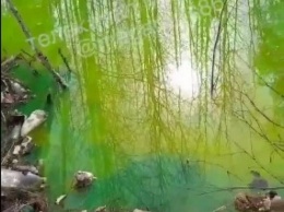 Озеро кислотного цвета обнаружили в промышленной зоне Нижневартовска