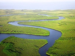 Русла пяти рек в Алтайском крае собираются расчистить