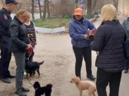 В Калуге штрафуют собаководов за неубранные фекалии