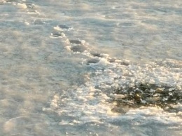 Женщина погибла на Сямозере, провалившись под лед