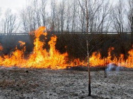 В Калининградской области устанавливается особый противопожарный режим