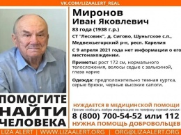 Без вести пропавшего 83-летнего мужчину разыскивают в Карелии