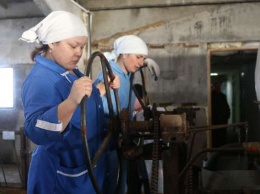 Как в Алтайском крае соблюдают трудовые права женщин