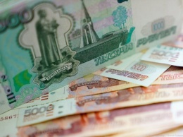 Власти Зеленоградска обещают 50 тысяч рублей за помощь в розыске похитителя туй