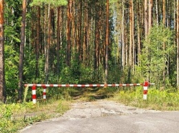Крымчанам запретили ходить в леса