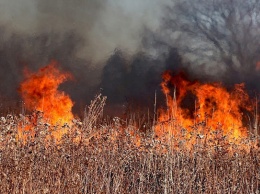 138 пожаров потушено в Алтайском крае за сутки