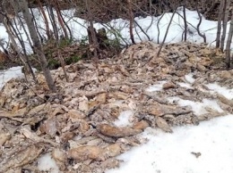 Свалка мертвой форели обнаружена в Калевальском районе