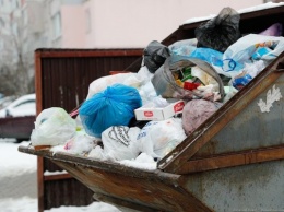 Власти оборудовали площадки для крупногабаритного мусора только в 11 муниципалитетах