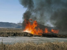В Рубцовске тушили одновременно три крупных возгорания сухой травы