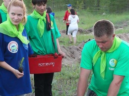 В Алтайском крае первыми в России начали учиться компенсировать углеродный след