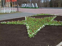 В клумбы Петрозаводска начали высаживать цветы