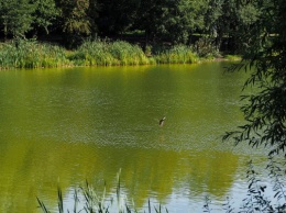 В озере Пелавском в Калининграде утонул человек