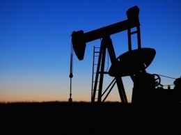 Разлив нефти в Архангельской области привел к уголовному делу