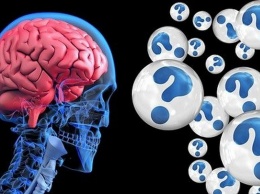 Как связаны с генетикой «биполярка» и иммунитет мозга