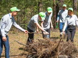 «Зеленый патруль»: о работе школьного лесничества в Зональном районе