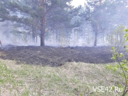 Трава загорелась в Серебряном бору в Кемерове