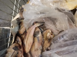 Кемеровчанка обнаружила червей в магазинной рыбе