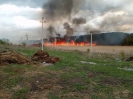 Кузбассовцы сняли на видео пожар площадью 5 000 "квадратов" около леса