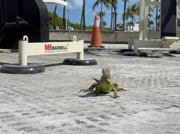 Тренажеры из Карелии установили на пляже в Майами