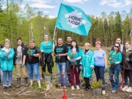 "Новые люди" восстанавливают уничтоженный лес в Боровском районе