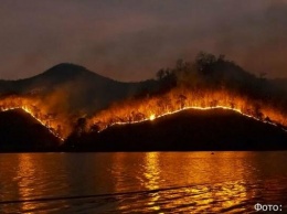 В Петропавловске-Камчатском объявили предпоследний уровень пожарной опасности