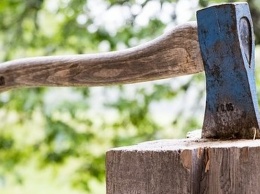 Алтайский пенсионер колуном для дров убил знакомого из-за уборки
