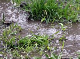 Кемеровские синоптики предупредили о дождях с грозами