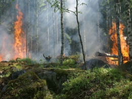 Правительство РФ выделило дополнительно около 3 млрд рублей на борьбу с лесными пожарами