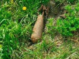 На пастбище в Ивановском районе найден старый боеприпас