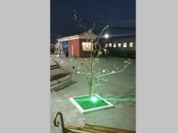 Металлические деревья с подсветкой установили на жд-вокзале Барнаула