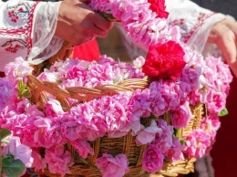 29 мая в центре Симферополя пройдет Праздник роз
