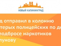 Суд отправил в колонию пятерых полицейских по делу о подбросе наркотиков Голунову