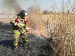 В выходные дни в Алтайском крае увеличивается количество природных пожаров