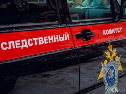 Собачник нашел мумифицированный труп женщины под Екатеринбургом